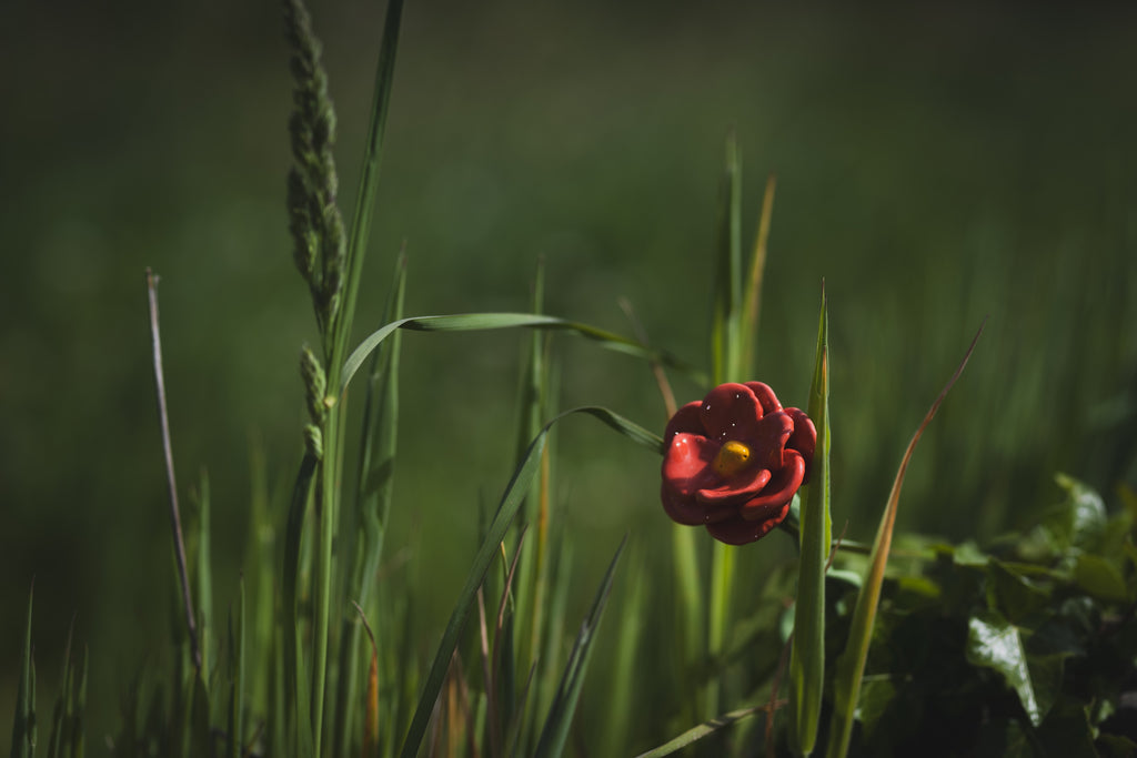 Petals